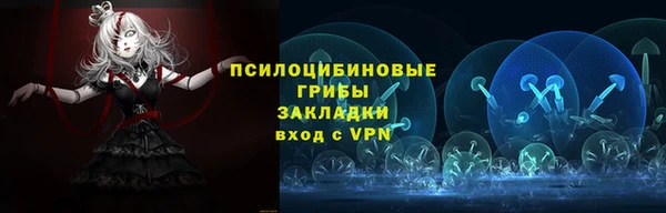 шишки Алексеевка